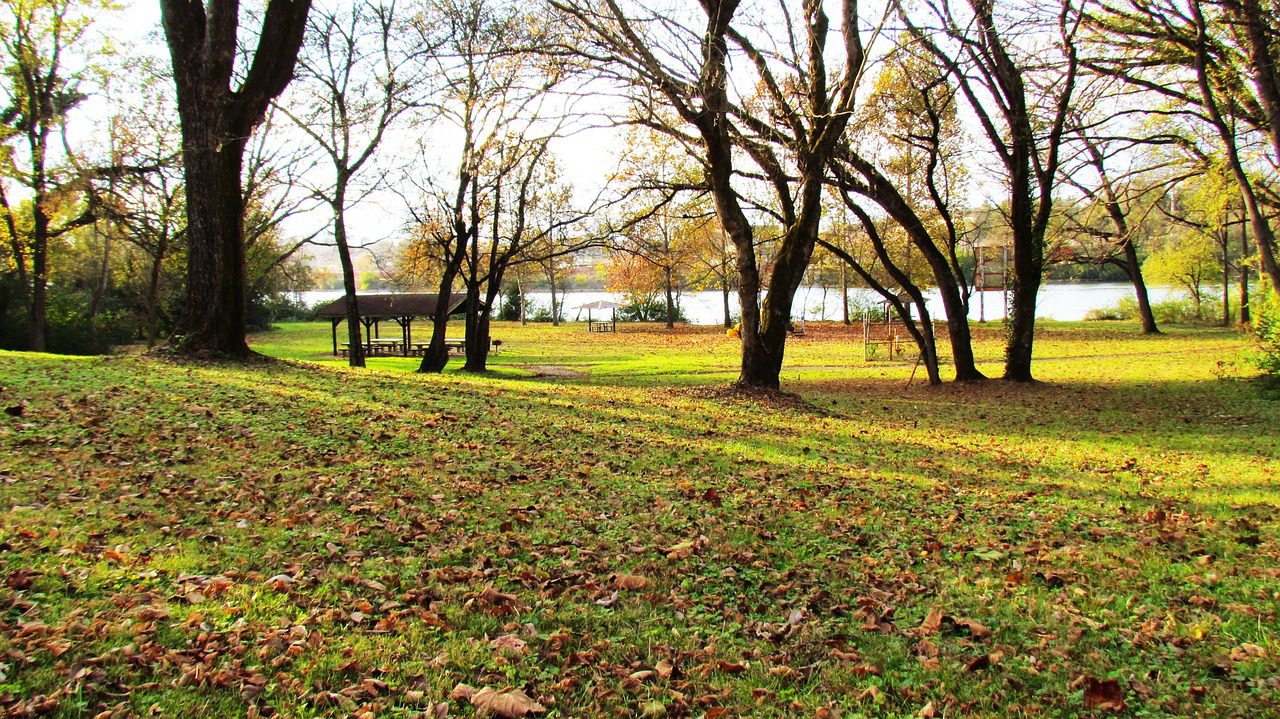 Knoxville's Tree Conservation Bank