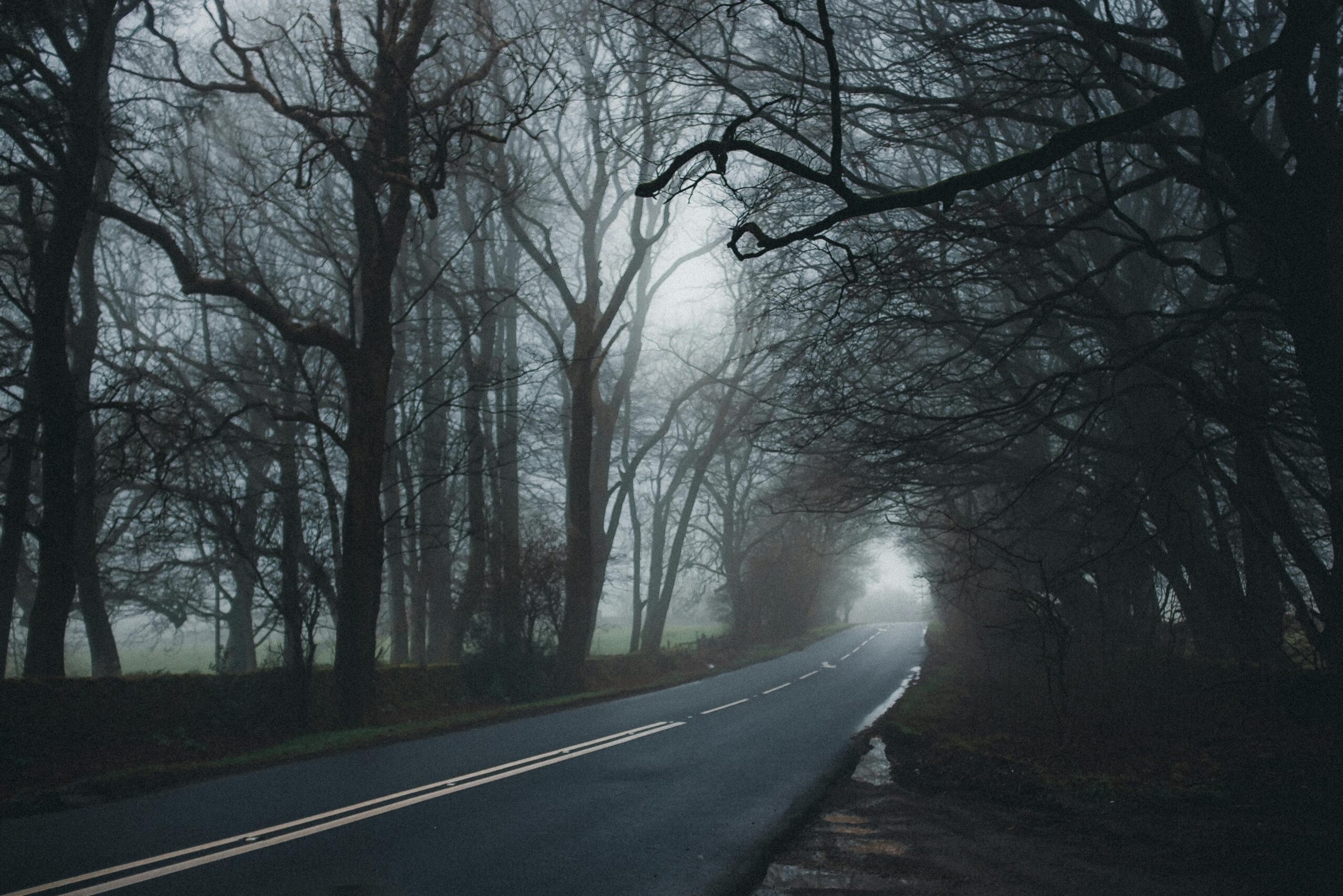 Haunted Highways: America’s Scenic Byways with a Paranormal Twist